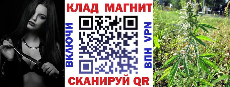 Купить наркотик аптеки Зеленогорск ГАШ Бошки Шишки Альфа ПВП МЕФ КОКАИН