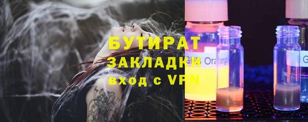 гашик Алексин