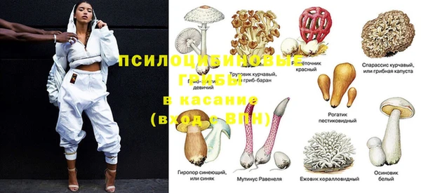 тгк Алзамай