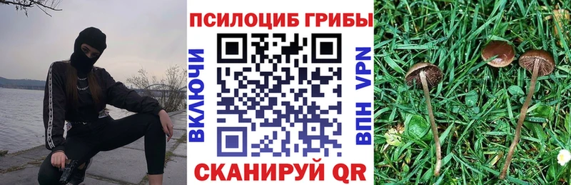 Псилоцибиновые грибы Psilocybe  Зеленогорск 